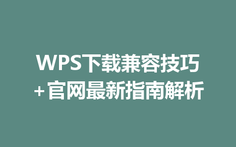 WPS下载兼容技巧+官网最新指南解析 一