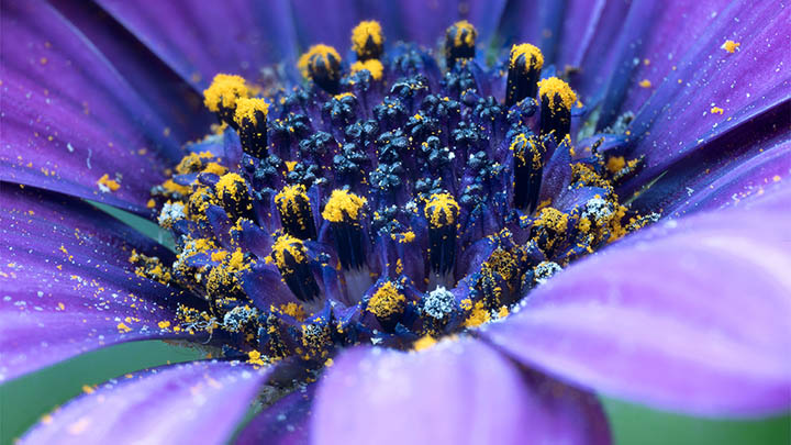 WPS下载网页:三步获取安装包教程 api img 6967eea584f5c