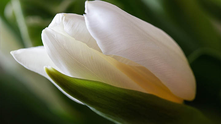 api img 696880ef83a93