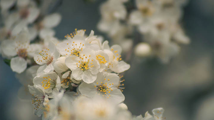 api img 6968fb22459e6