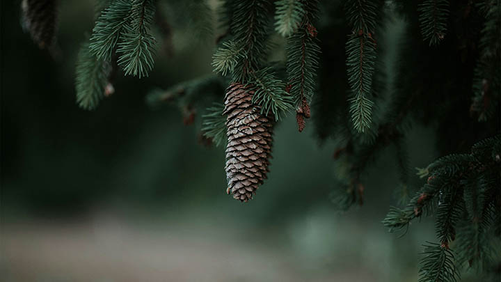 想阻止WPS下载安装？五大策略快速搞定 二