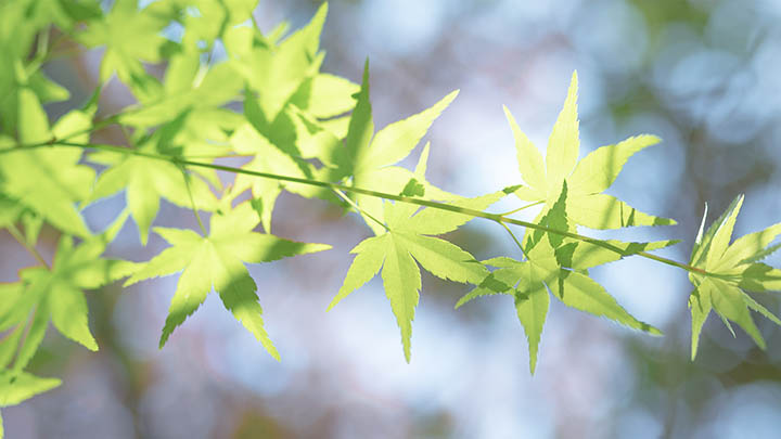 如何在无网状态下下载WPS安装包？亲测2025年离线获取渠道+详细操作指南 二