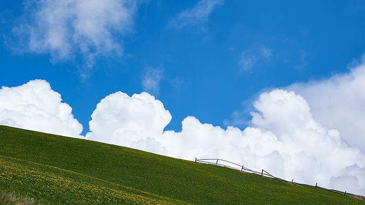 WPS个人版下载指南:快速掌握3个简单步骤 WPS个人版下载指南:快速掌握3个简单步骤 二