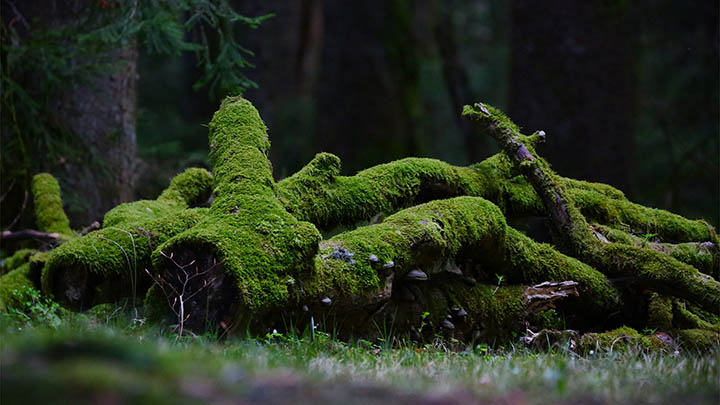 计算机下载安装WPS全攻略适用2025年 计算机下载安装WPS全攻略适用2025年 二