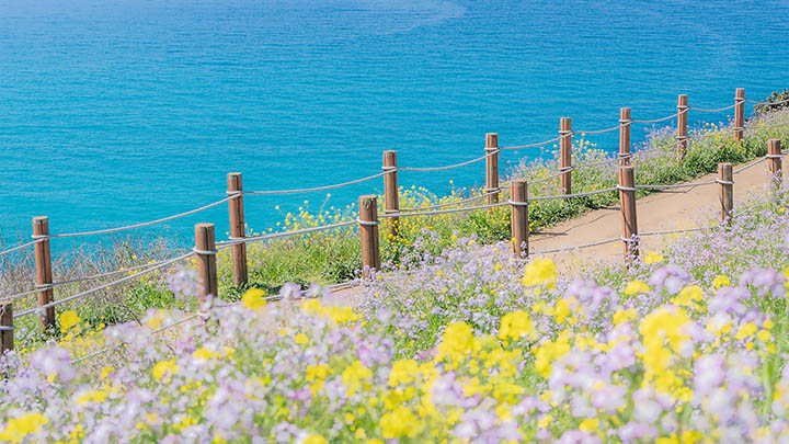 如何下载WPS软件下载包：简单3步教程 二