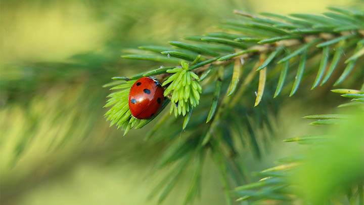 WPS下载兼容技巧+官网最新指南解析 二