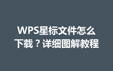 WPS星标文件怎么下载？详细图解教程 一