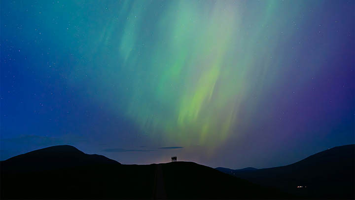 WPS格式怎么下载？教程攻略一看就会 二