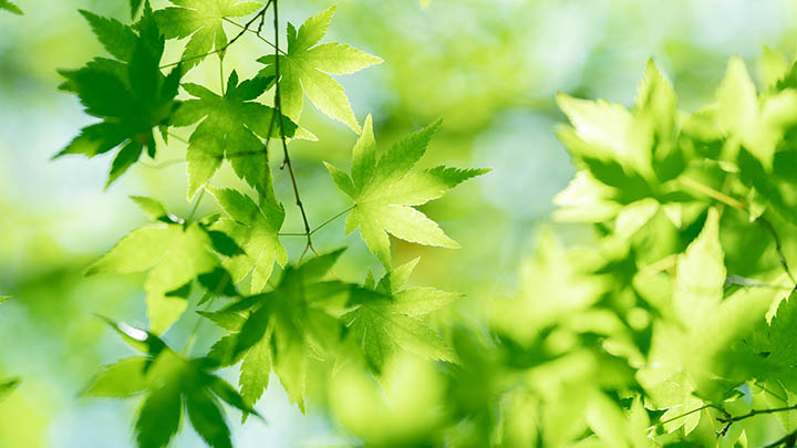 中文WPS下载全流程解读 中文WPS下载全流程解读 二