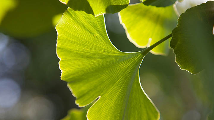 如何快速下载WPS?详解必备攻略! 如何快速下载WPS?详解必备攻略! 二