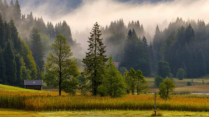 如何下载WPS软件？官网直连安装包详解 二