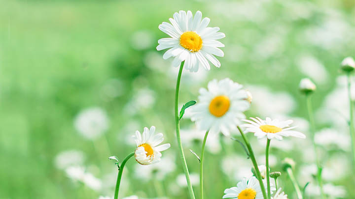 如何获取WPS附件？多平台下载渠道+详细操作指南解析 二