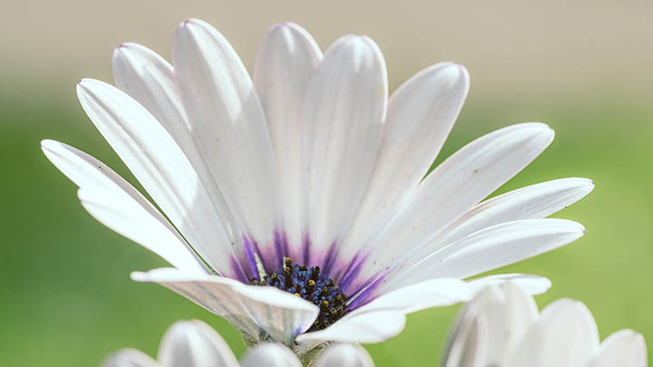 如何在WPS下载?新手必备教程+正版资源入口 如何在WPS下载?新手必备教程+正版资源入口 二