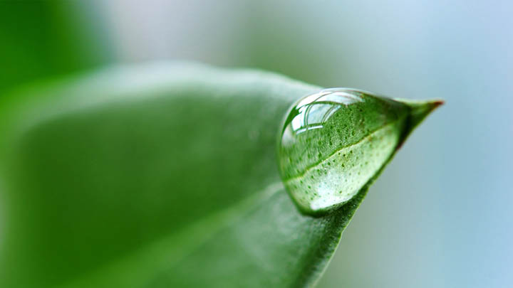 零基础如何下载WPS办公?免费安装包获取+全网下载教程解析 零基础如何下载WPS办公?免费安装包获取+全网下载教程解析 二