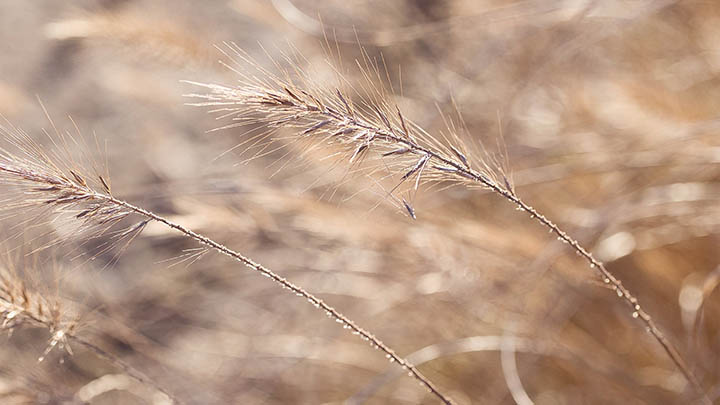 全套WPS轻松下载攻略安全便捷,Win/Mac用户必看 全套WPS轻松下载攻略安全便捷,Win/Mac用户必看 二