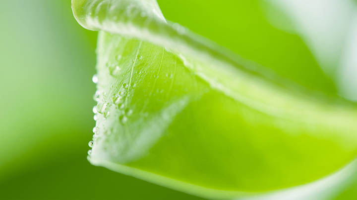 下载WPS如何打印全解析适用各类文档格式 下载WPS如何打印全解析适用各类文档格式 二