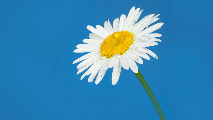 WPS PDF无法下载？官方渠道+第三方工具全解析 二