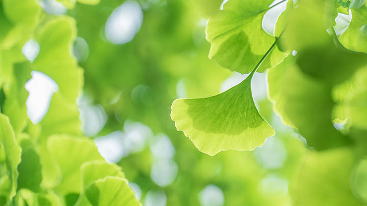 WPS如何下载链接？在线安装与本地下载全面攻略2025年 二