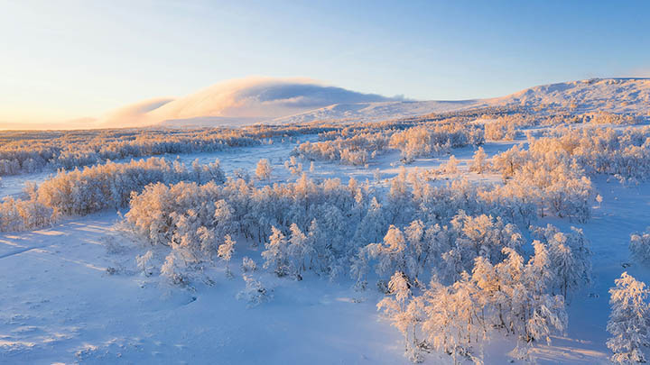 WPS如何下载共享？超全教程轻松掌握 二