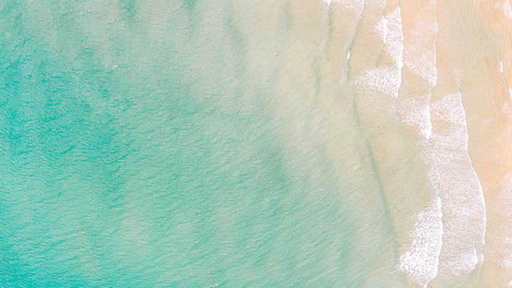 如何下载WPS文章？快速掌握2025年最新版操作步骤 二