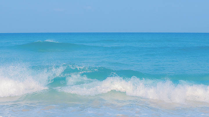 WPS如何下载教案?详解步骤+获取链接地址 二