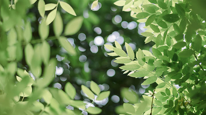 WPS版本免费下载:官方教程详解 WPS版本免费下载:官方教程详解 二