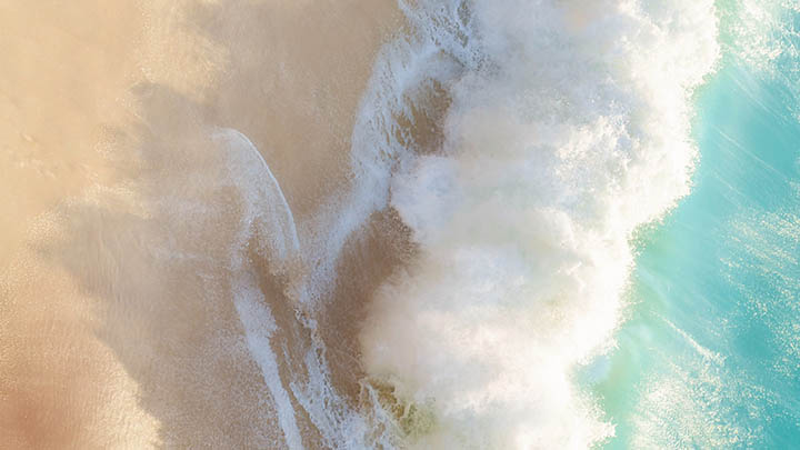 WPS旧版如何下载?官方推荐途径及详细教程 WPS旧版如何下载?官方推荐途径及详细教程 二