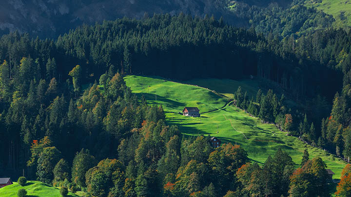 WPS Office下载全攻略:快速安全方式介绍 WPS Office下载全攻略:快速安全方式介绍 二