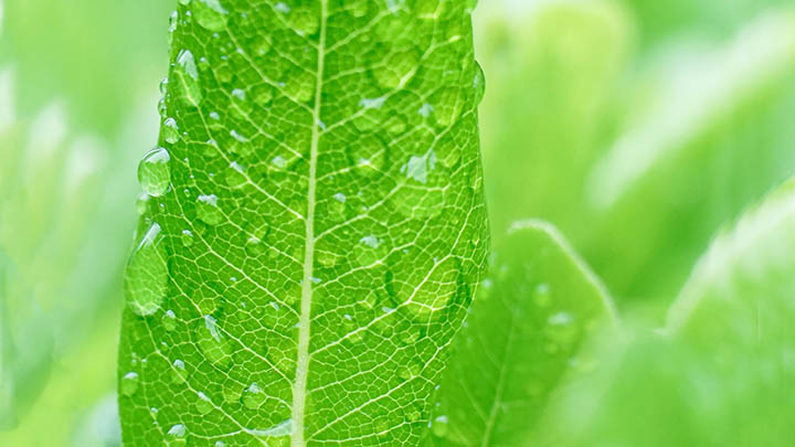 WPS演示下载失败、卡住或解析包错误?快查找完整解决方案! WPS演示下载失败、卡住或解析包错误?快查找完整解决方案! 二